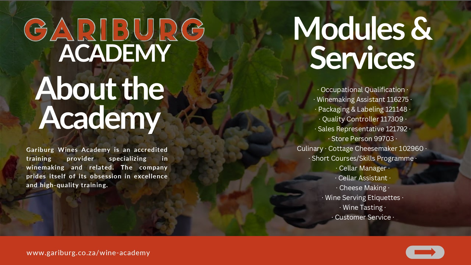 Gariburg Company Portfolio